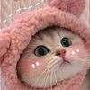 hiiuteee0