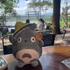 bocachu123