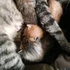 itskangaroo0