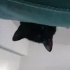 escargh0st