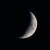 mingo_i8
