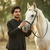 mainasad286