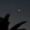 simply__moon