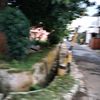 arrezakbar