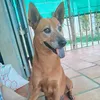 thuhuynh180286