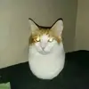 onlyd3ni