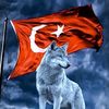 5038_ali_ylnzkrt
