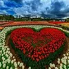 mohammedh.liri0
