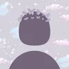 fl_silvaa