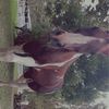 ashlie.17