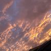 _fazi09