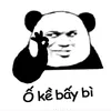 user295730706