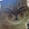 munbobobo8