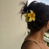 mira.sahraoui