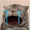 usertsiqwzyihx