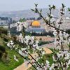 zamel652