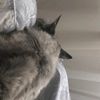 blackjeansf