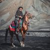 kavkaz_eagle