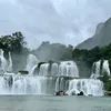 mister_duong