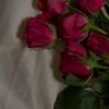 .b2195