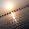 silenttears586