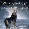 hassannn52