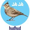 Hud hud🕊️medicine traditional