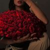 nona_nn6