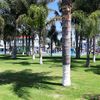 juanjos231542