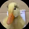 31976427065