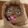 its_cami0150