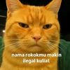 ko.pihi.tam