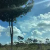 naizyeusgsxryusai