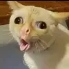 stephen_qqq
