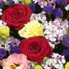 nur__800
