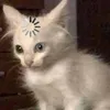 kksyu2
