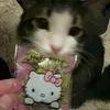 gymislove75