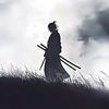 zoro._1_