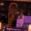 jp_bunny_