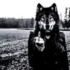 assyle_g