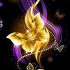 cuong_euro.0908090925