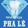 nhakhoaphalehadong