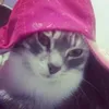 reviewphimhayy.official