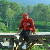 nn_davistar