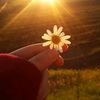 esra_19_06