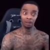 gavinzv2x