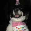 totimariecakesss