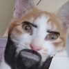 whatthedogdoing023