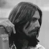 strawberryfields237