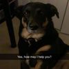 brenden_l
